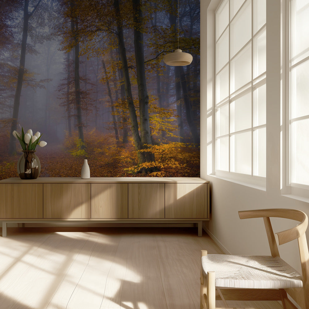 October Trail | Wallpaper