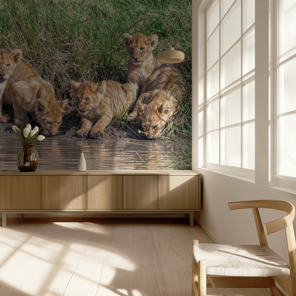 Putting the band back together.... | Wallpaper