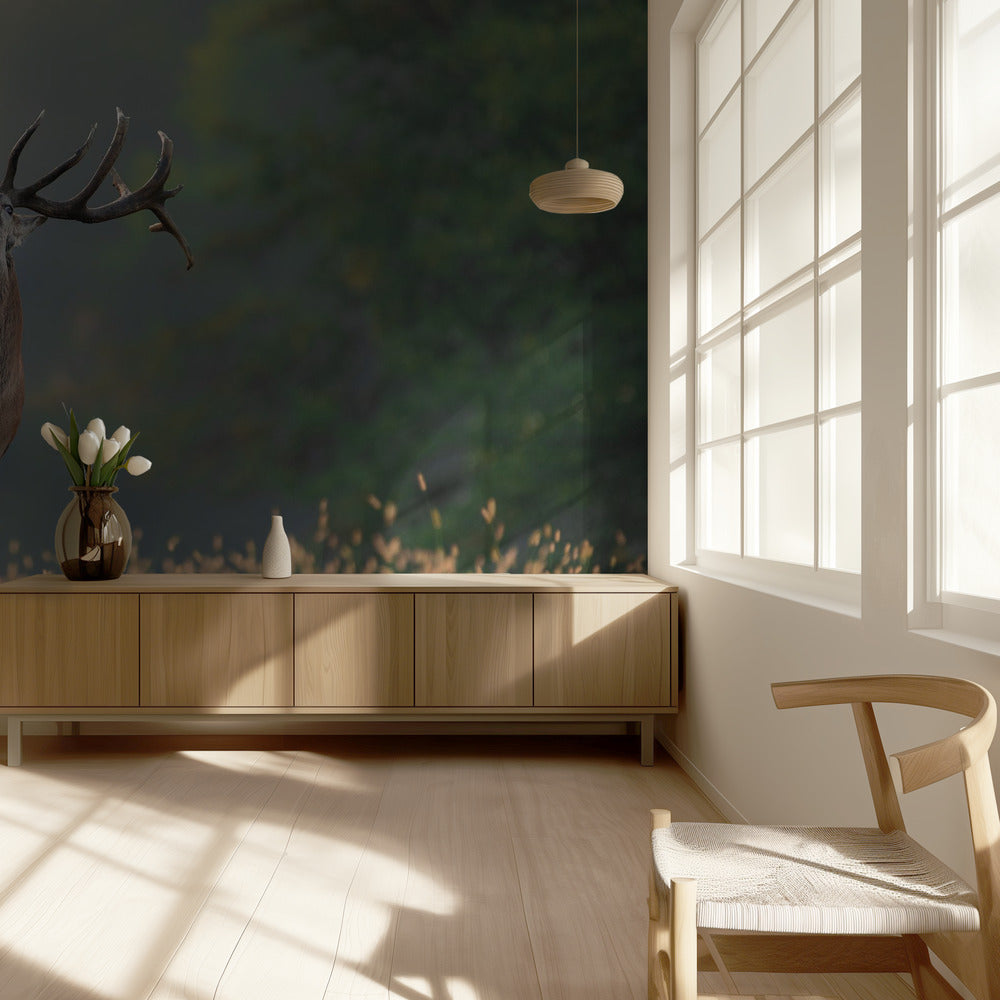 Deer wedding Song | Wallpaper