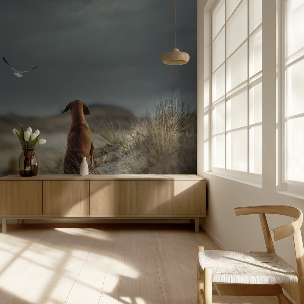 FREEDOM (II) | Wallpaper