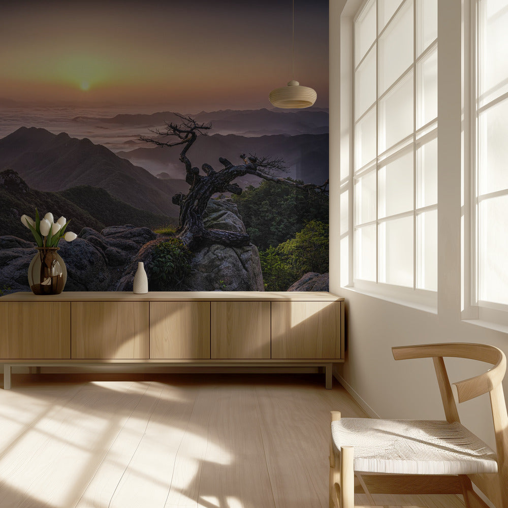 Sunrise on Top | Wallpaper