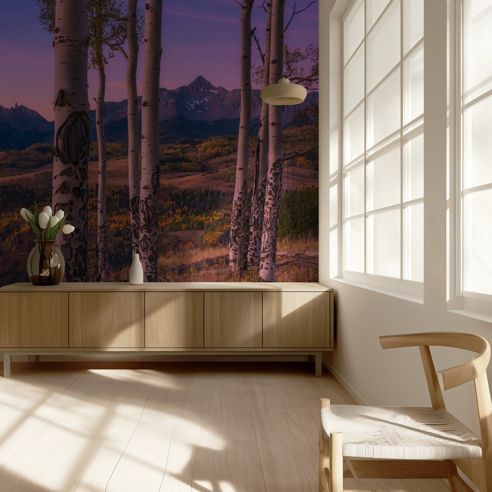 Aspen Frames | Wallpaper