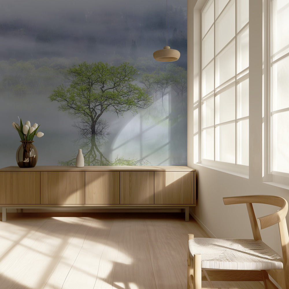 Dreamy tree | Wallpaper