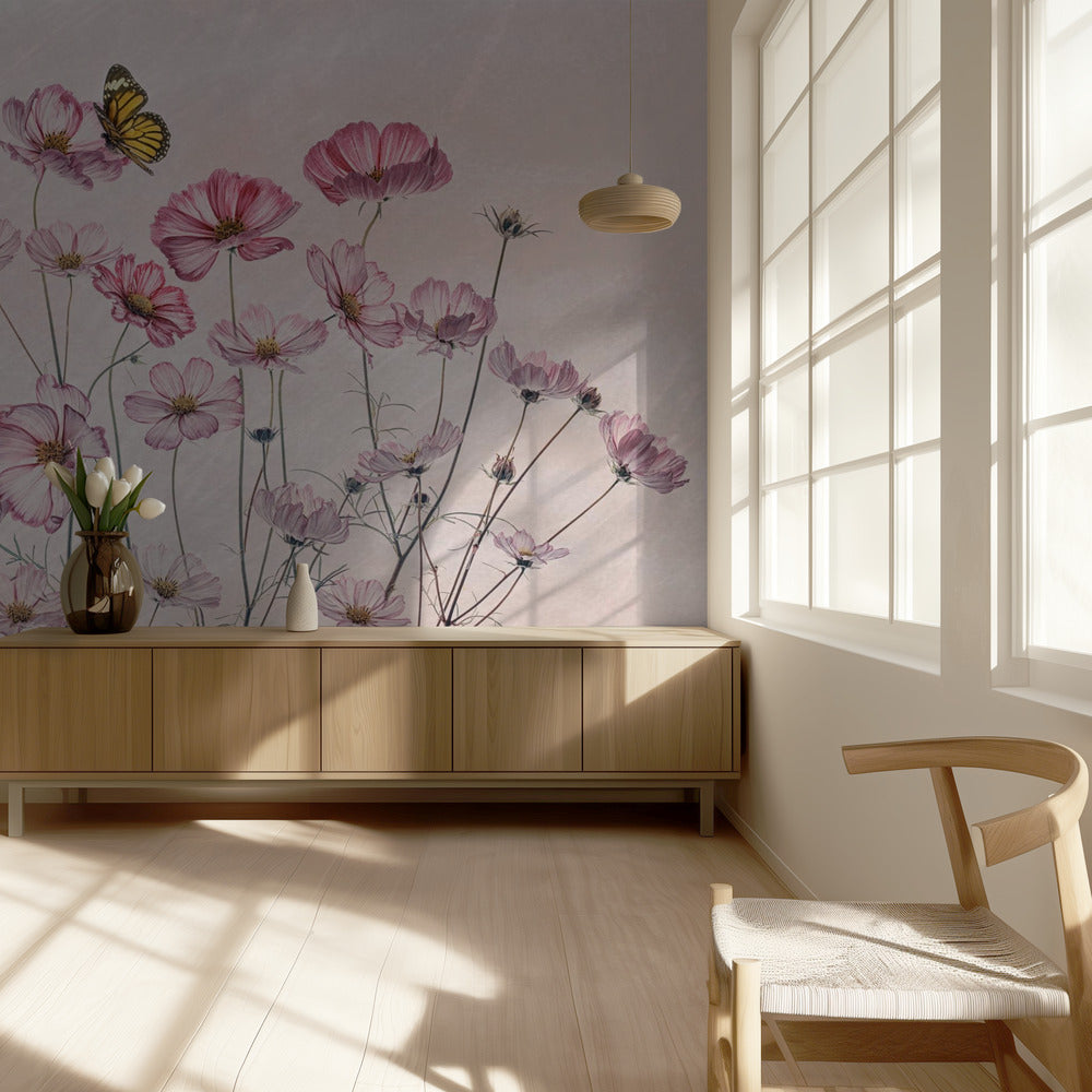 Cosmos and Butterfly | Wallpaper