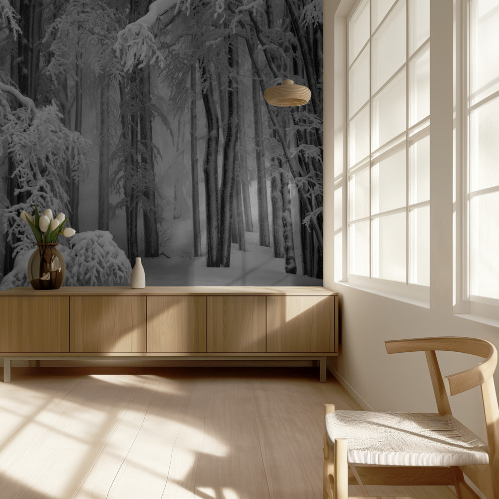 Perfect Winter | Wallpaper