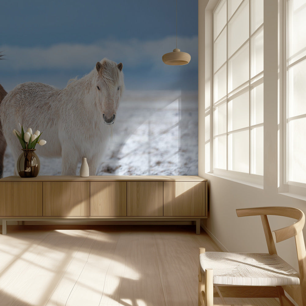 B R O T H E R S | Wallpaper