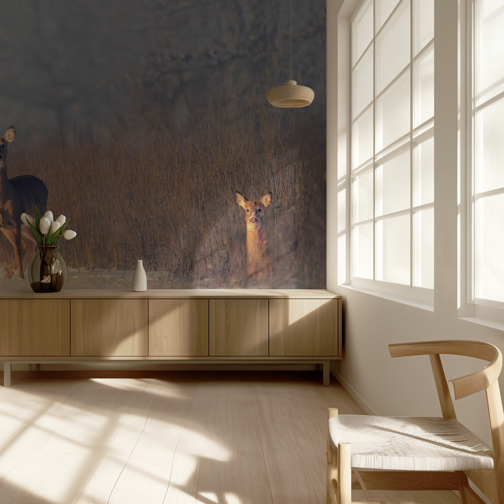 Three Deer | Wallpaper