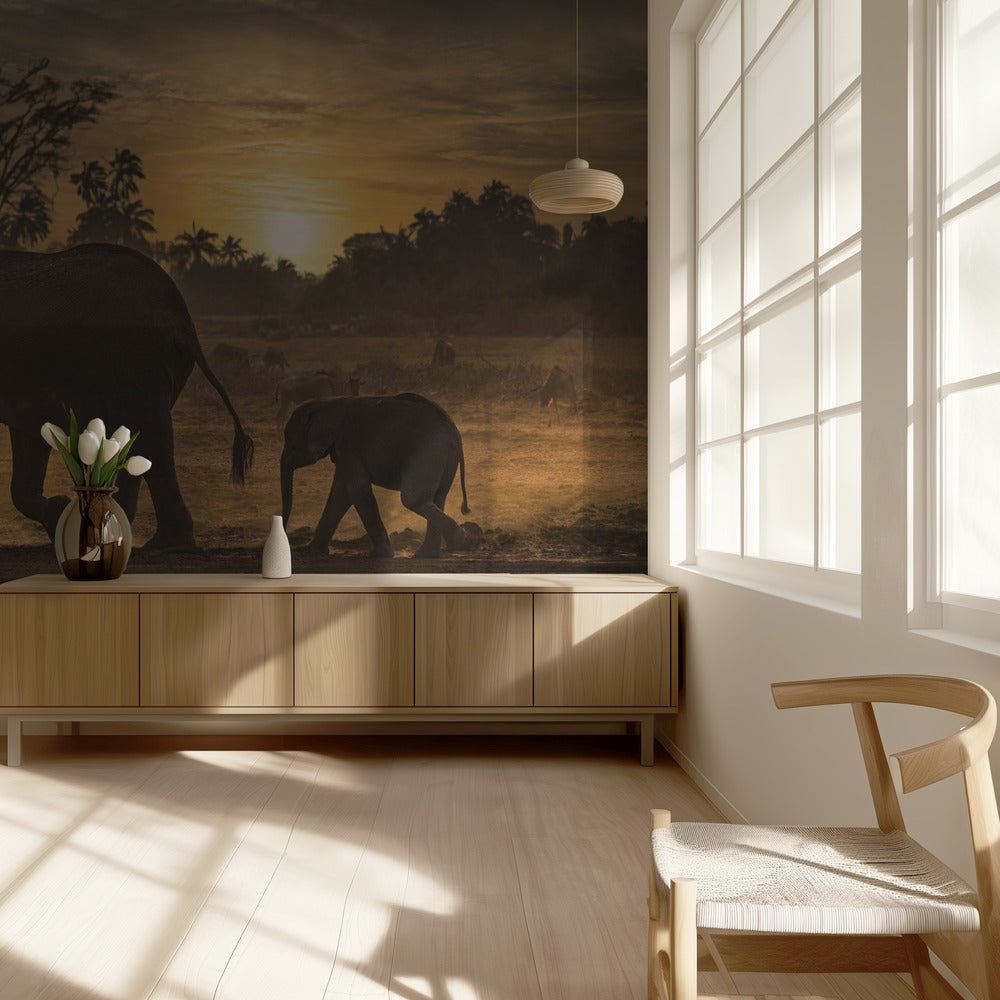 Follow me | Wallpaper