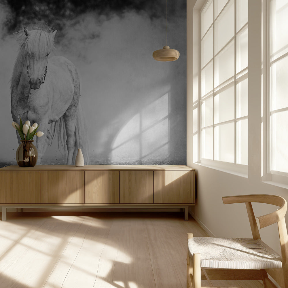 Icelandic pony | Wallpaper