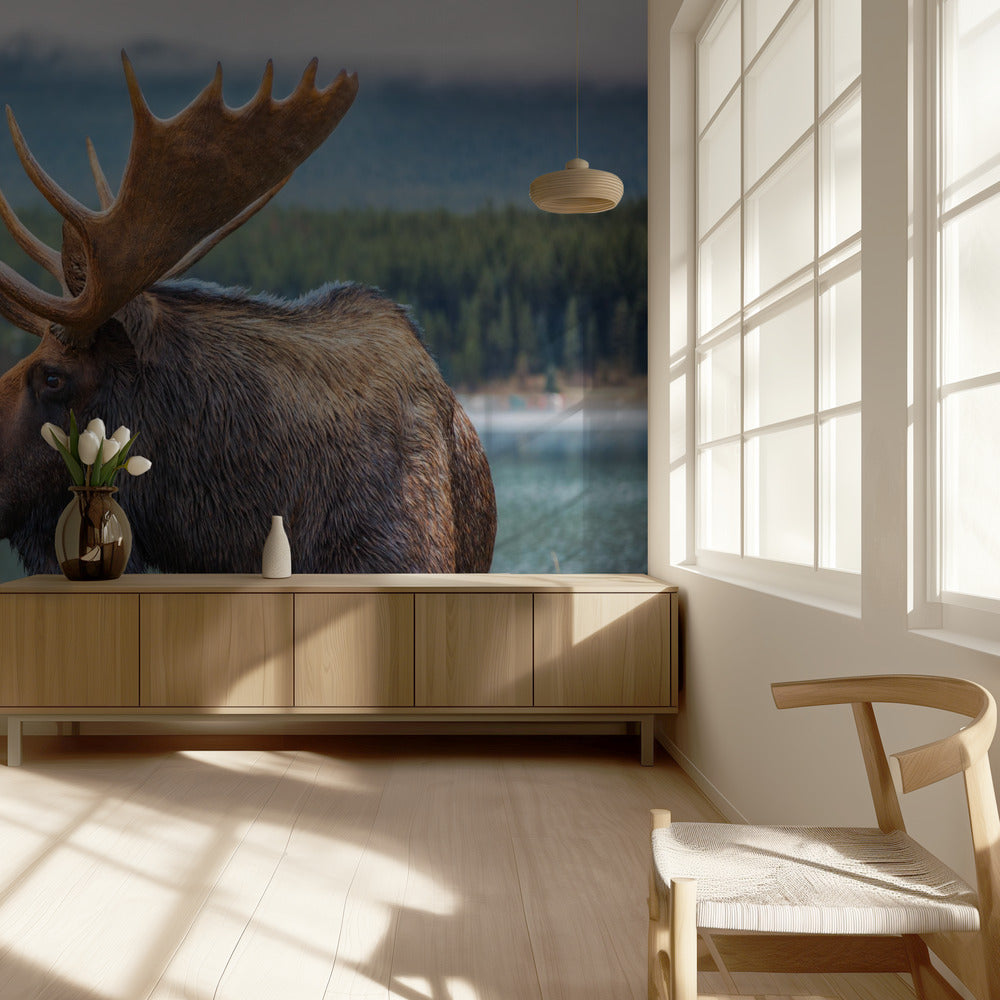Moose | Wallpaper