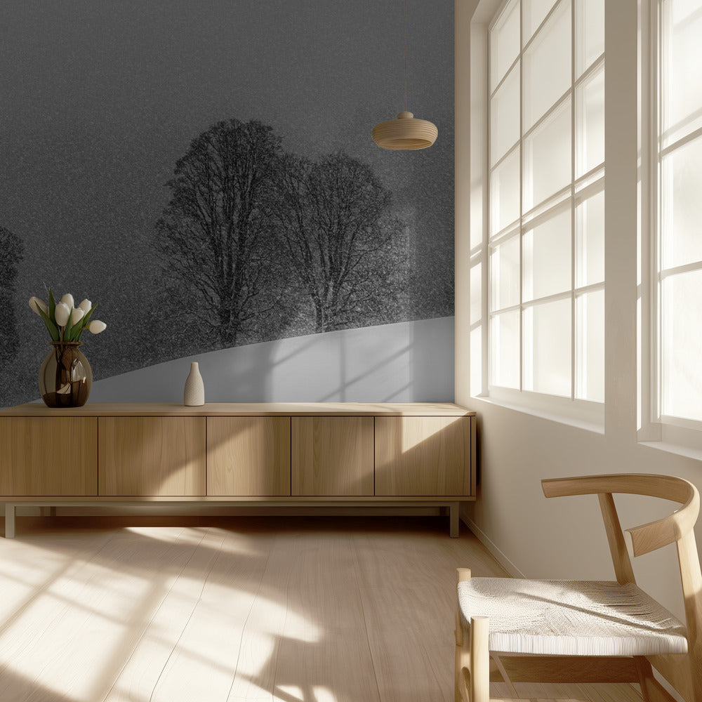 snow white | Wallpaper