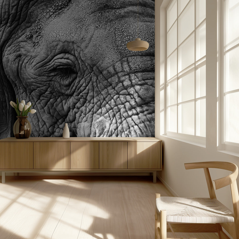 Elephant skin | Wallpaper