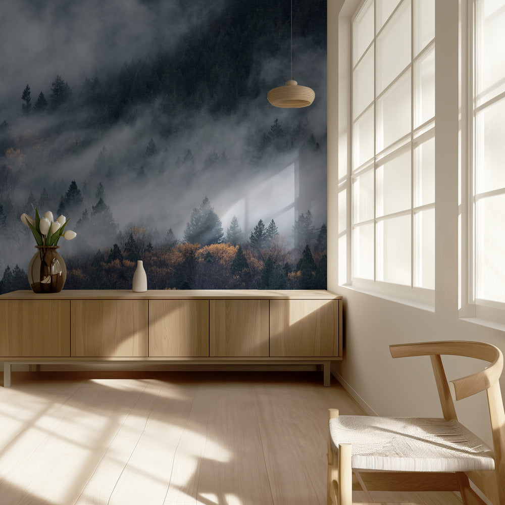 A path of the fog | Wallpaper