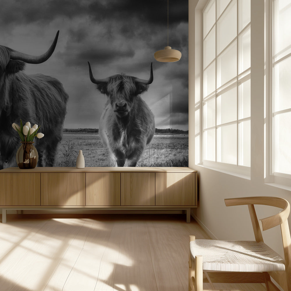 Highlands | Wallpaper