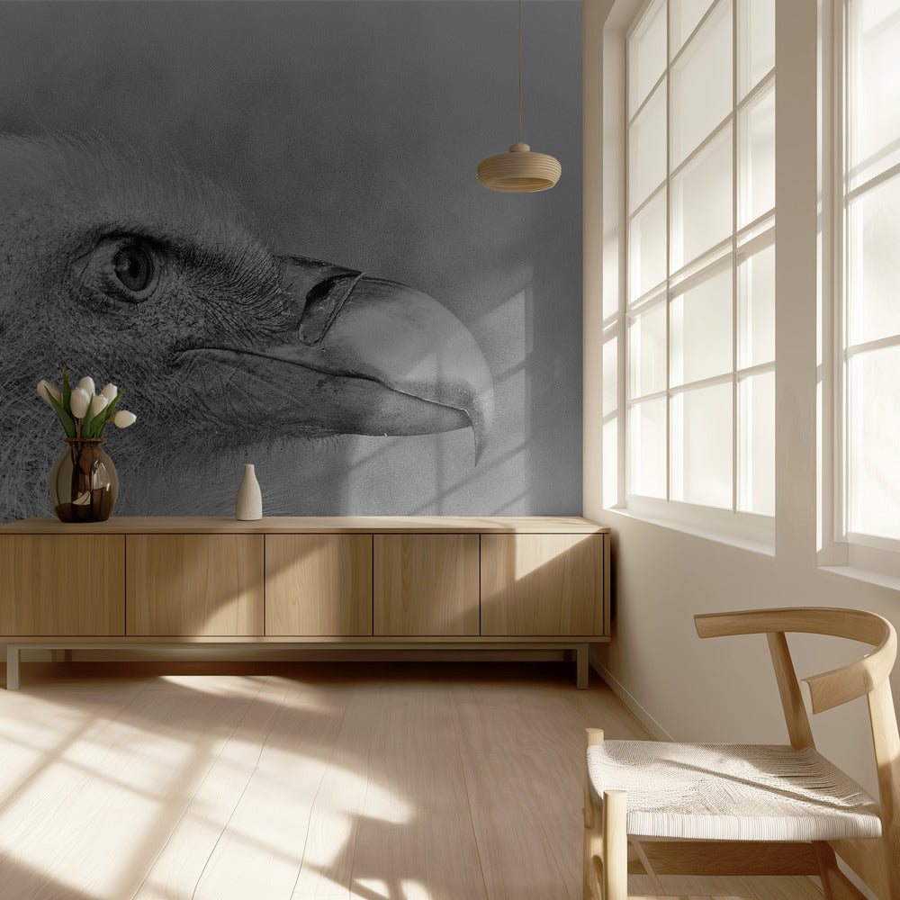 Bald eagle | Wallpaper