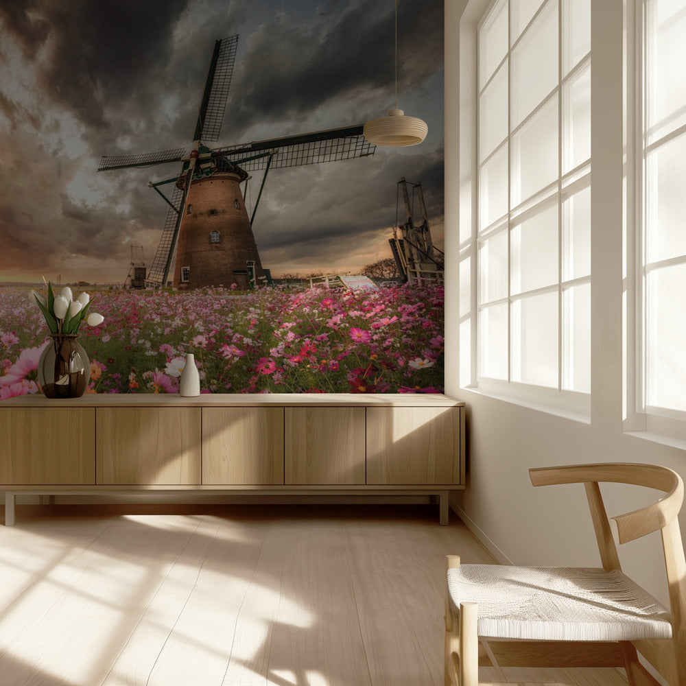 Magnificent flower world | Wallpaper