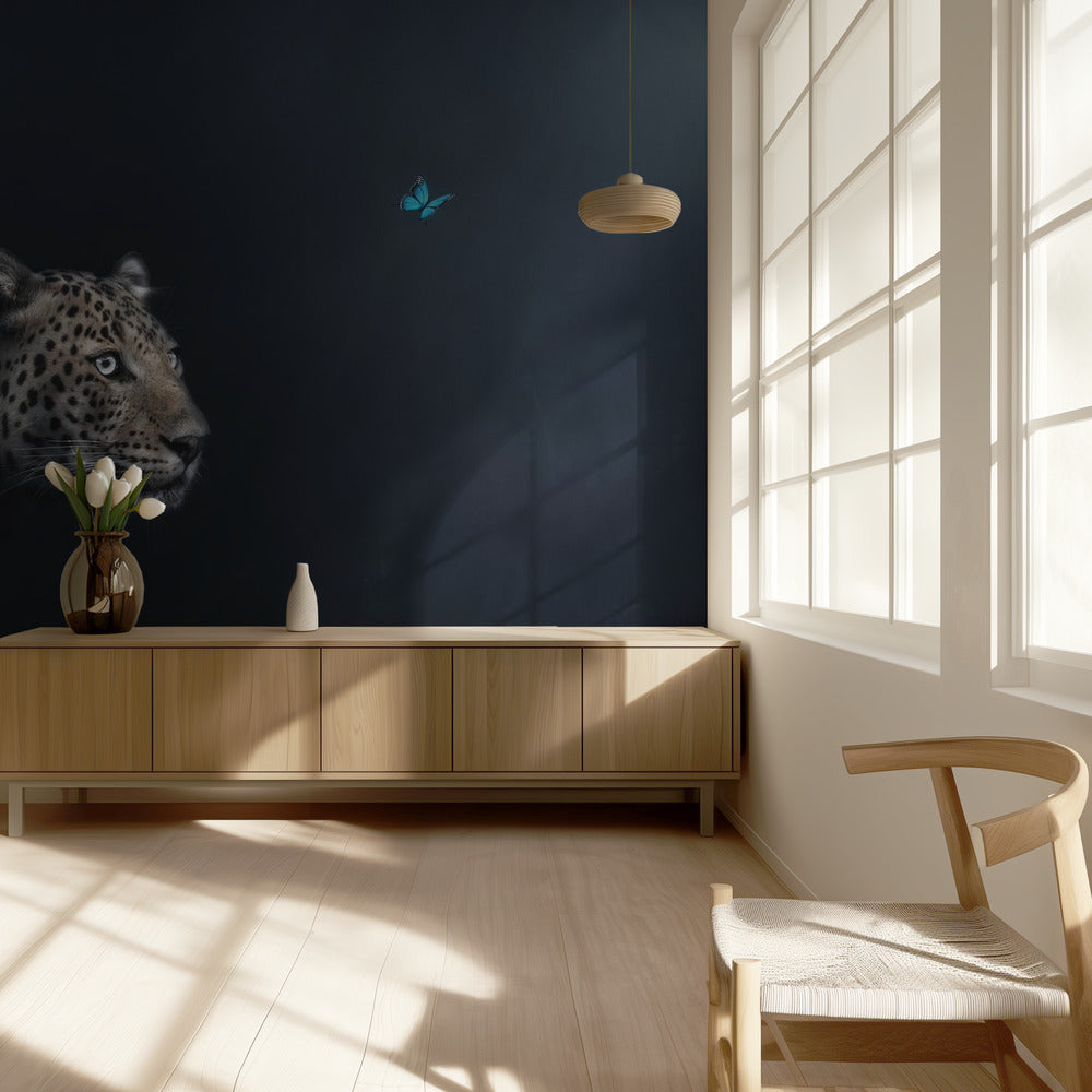 Imagination | Wallpaper