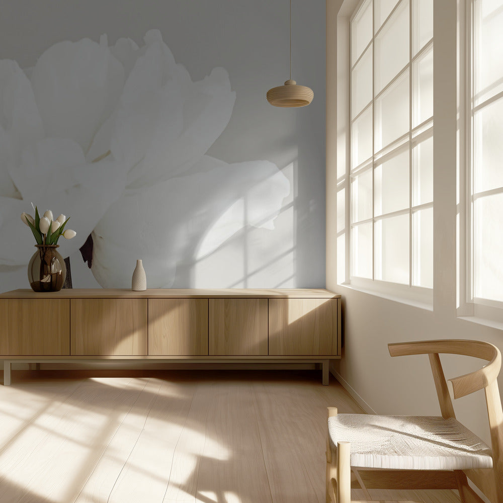 Peony 11 | Wallpaper