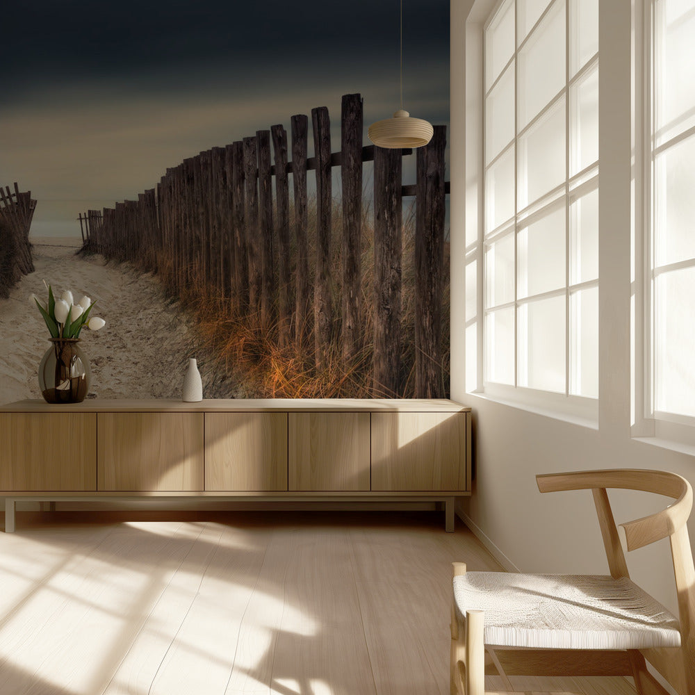 The path that led to you | Wallpaper