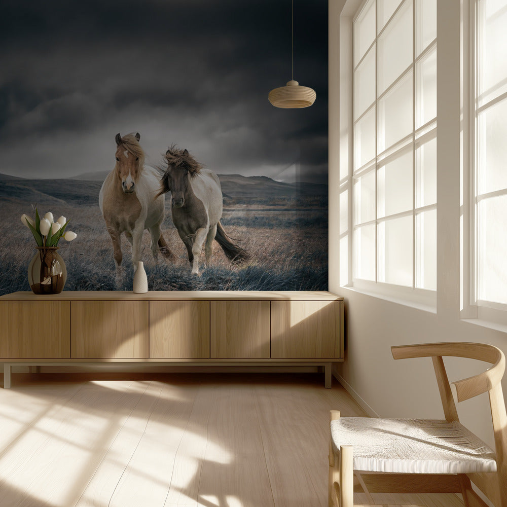 The brothers | Wallpaper