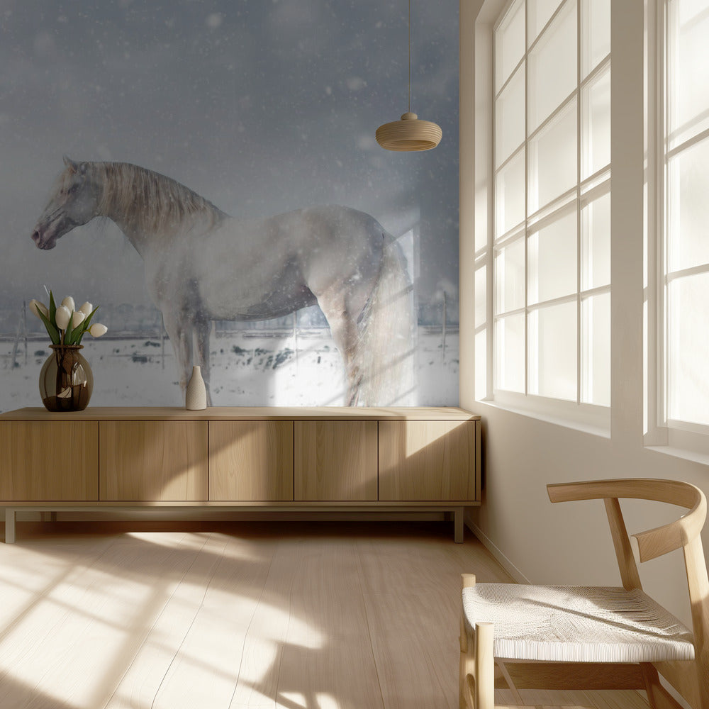 Let it snow... | Wallpaper