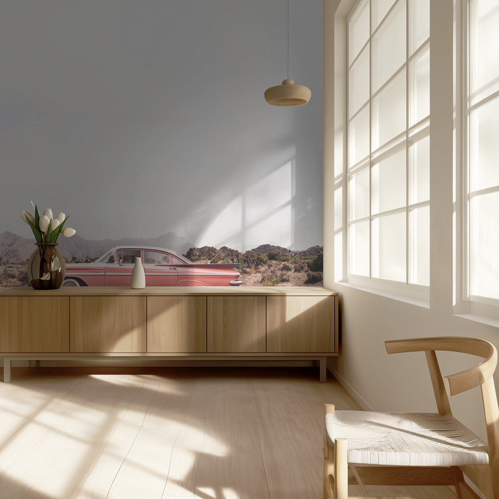 In the desert | Wallpaper