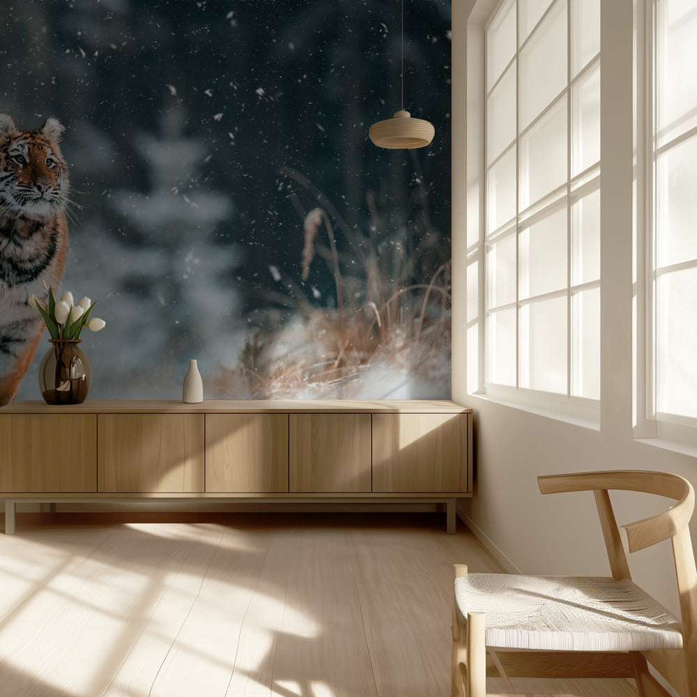 The Siberian tiger | Wallpaper