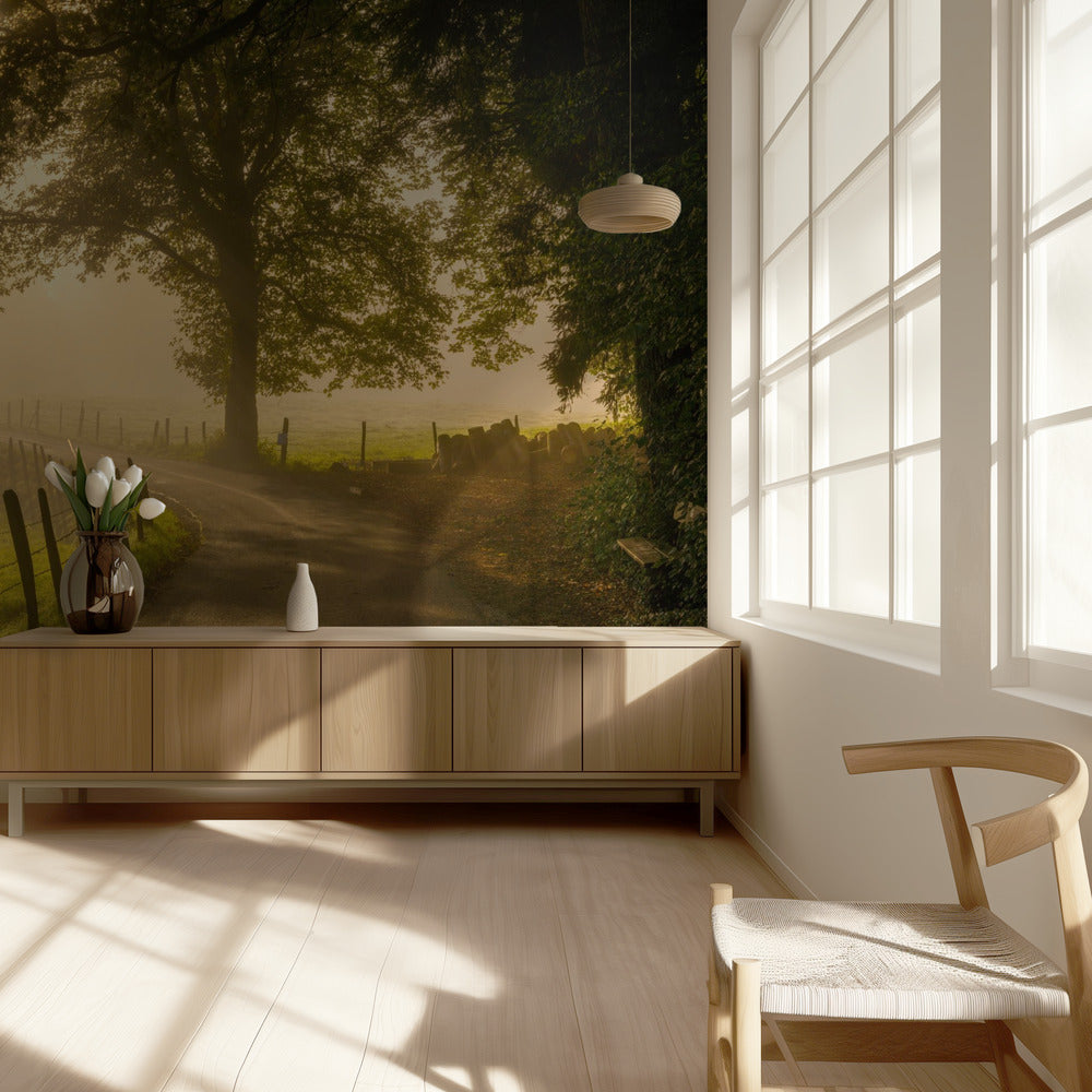 Morning walk | Wallpaper