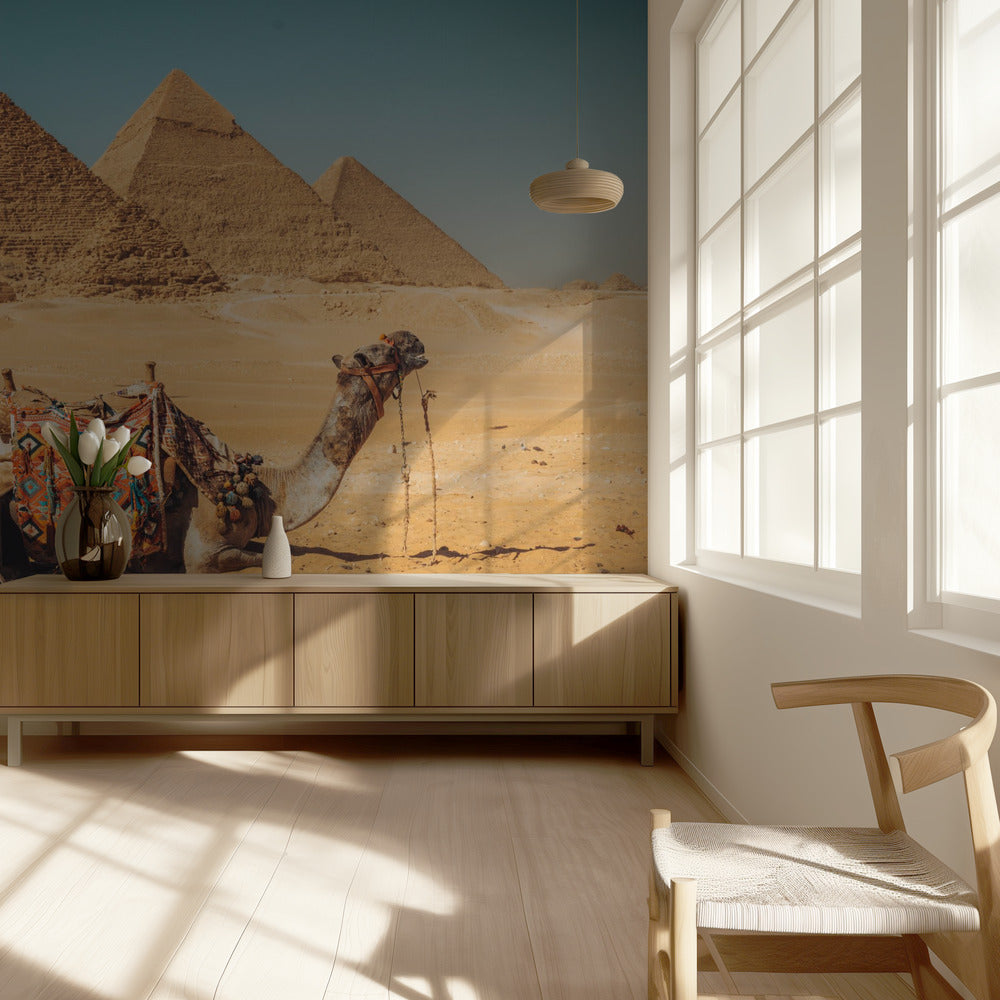 Visit to the pyramids | Wallpaper