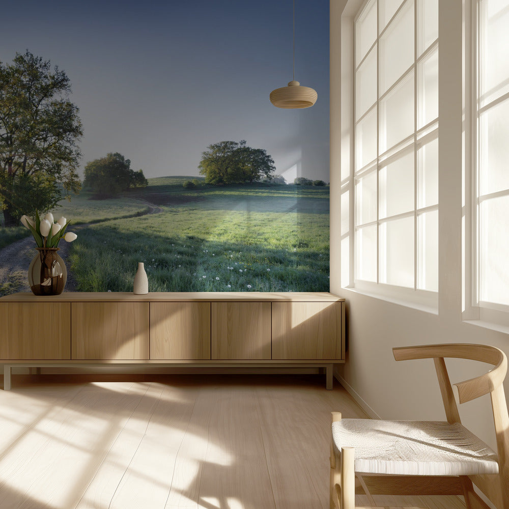 Spring Path | Wallpaper