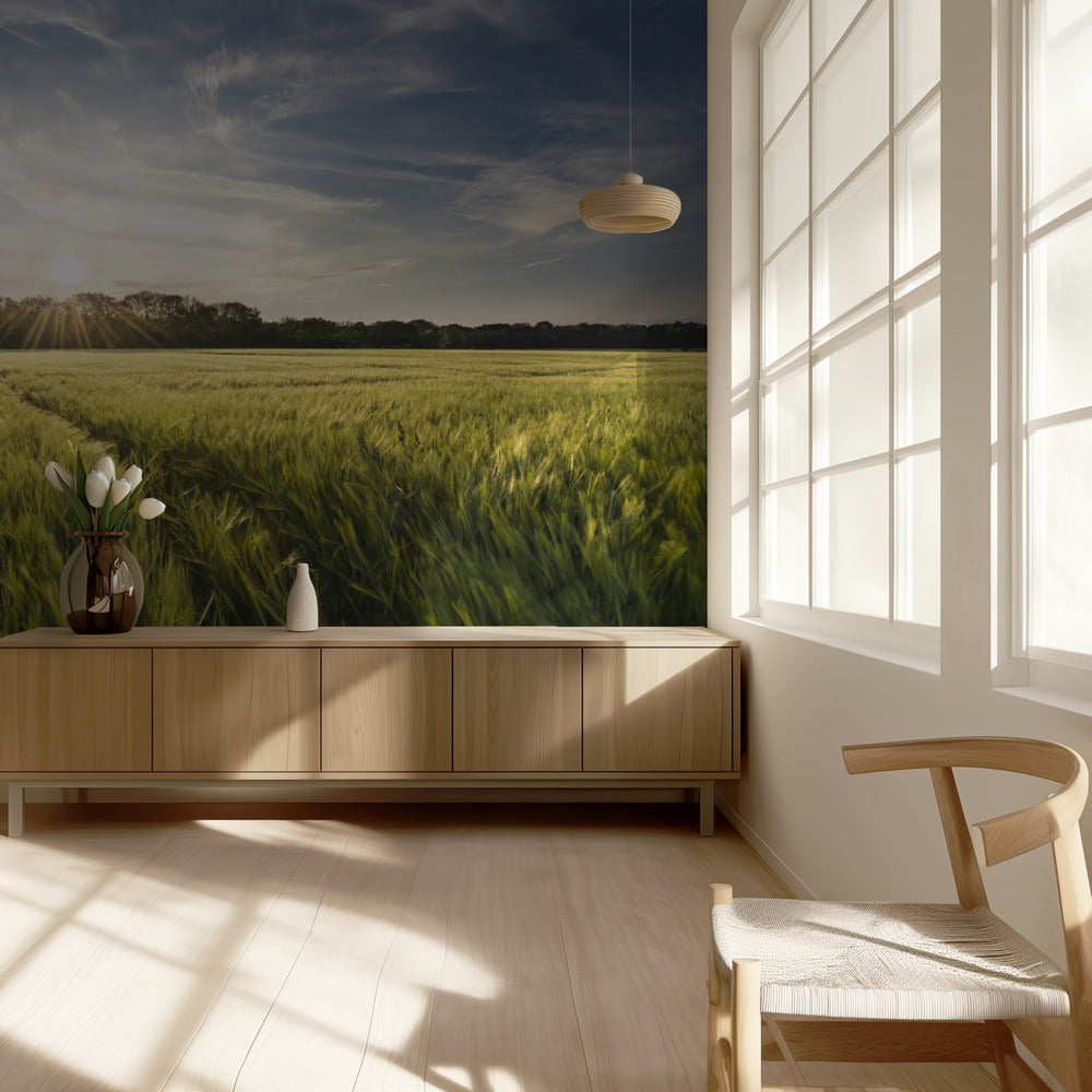 Barley Meadow | Wallpaper