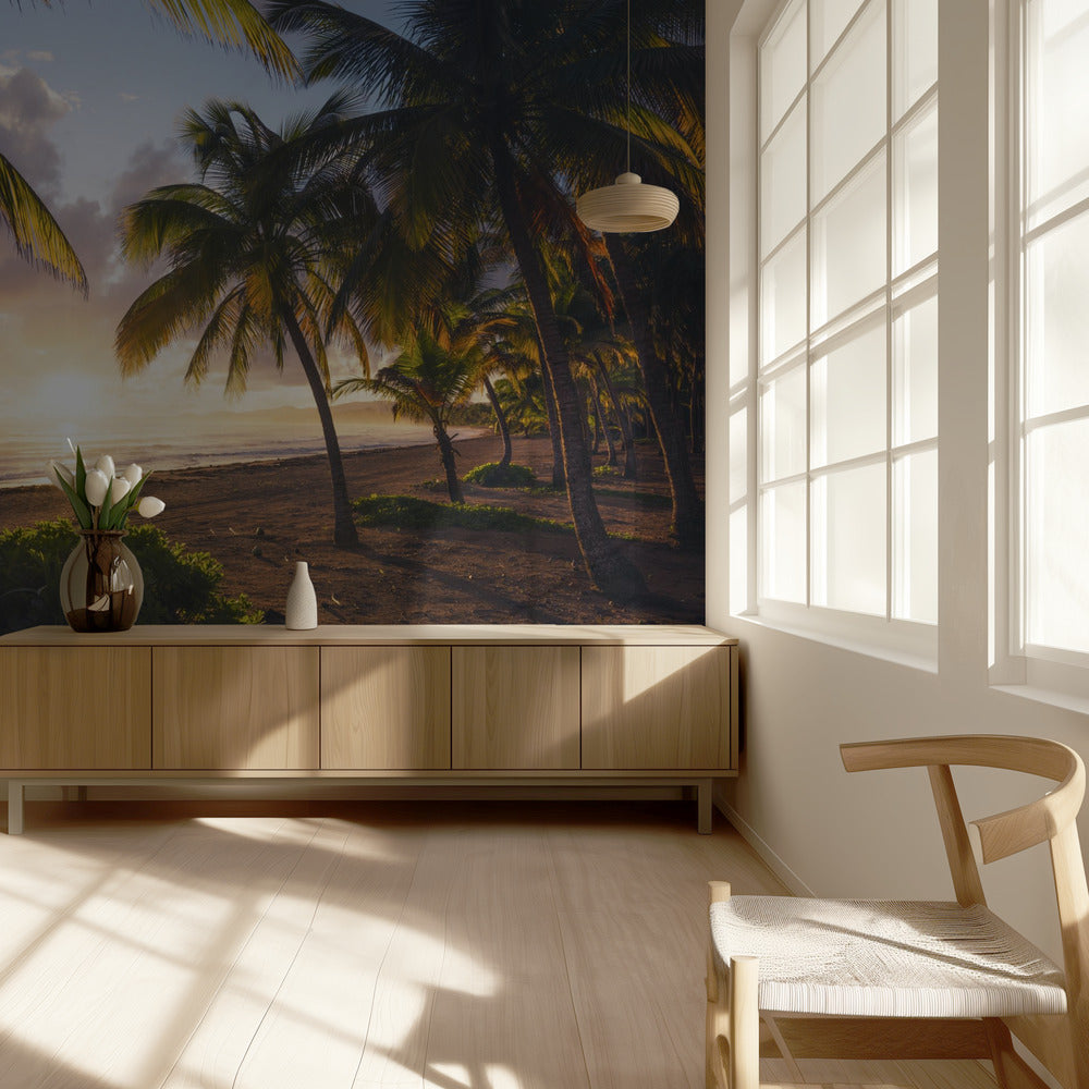 Good Morning Paradise | Wallpaper