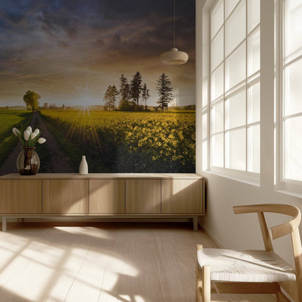 Summer Meadow | Wallpaper