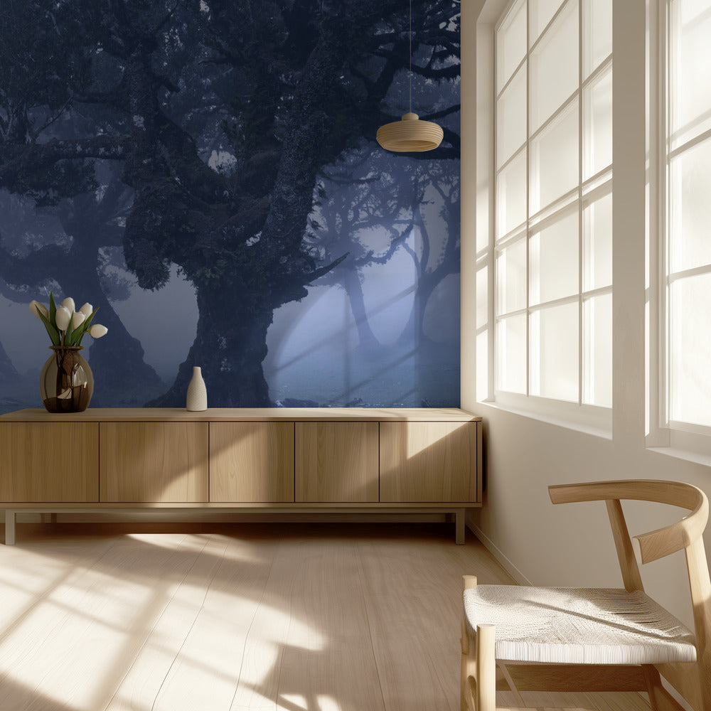 Blue Woods | Wallpaper