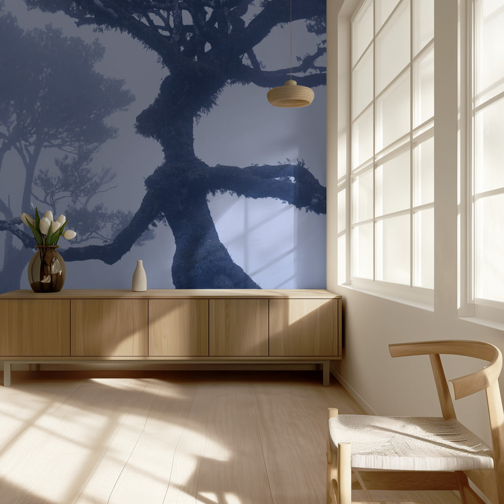 Blue Ent | Wallpaper