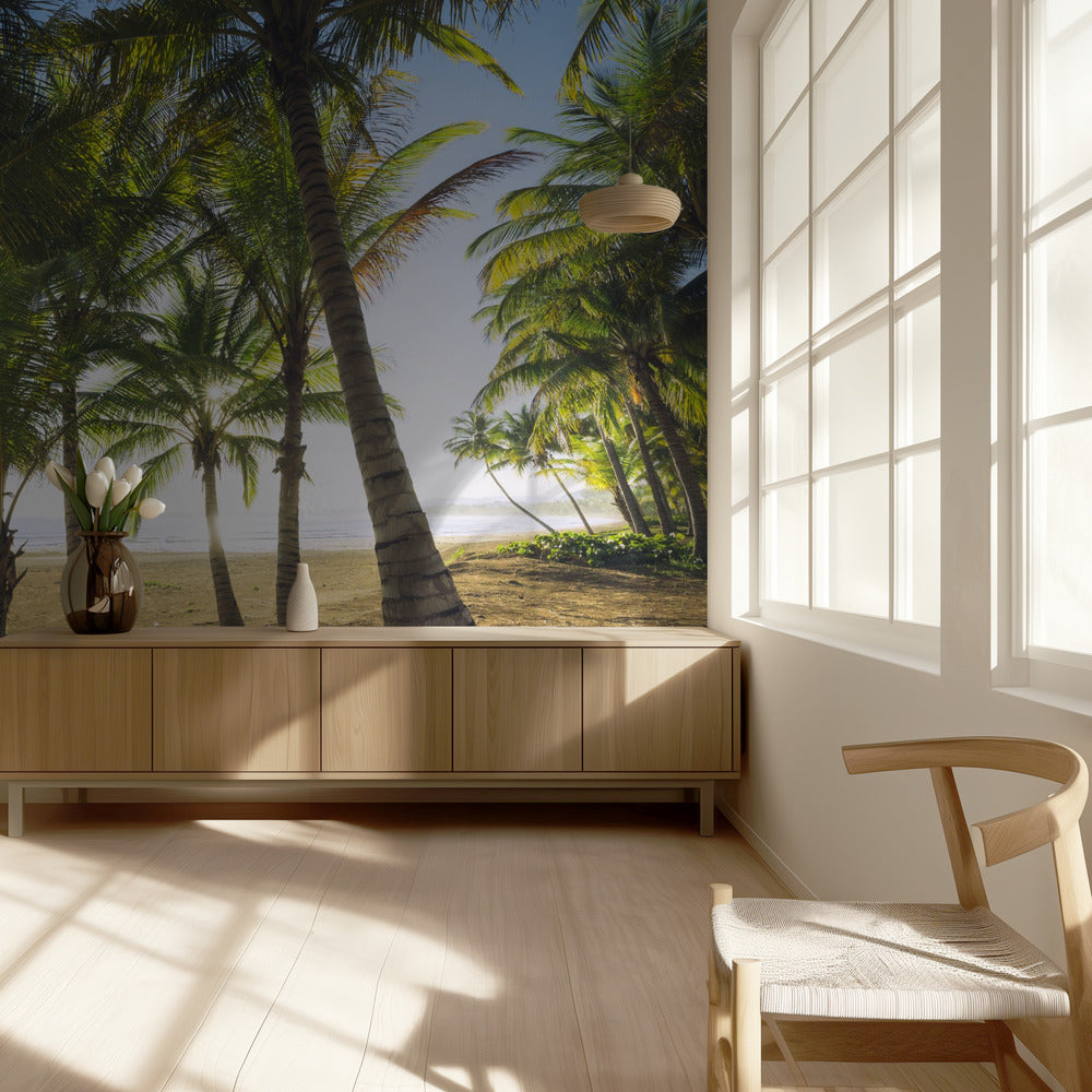 Tropical Morning | Wallpaper