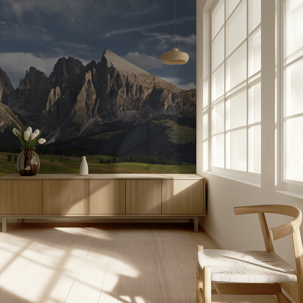 Paradise View | Wallpaper