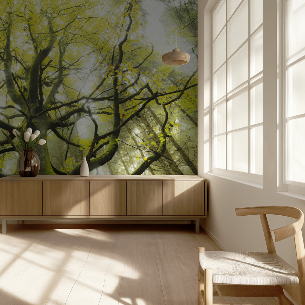 The Dream Tree | Wallpaper