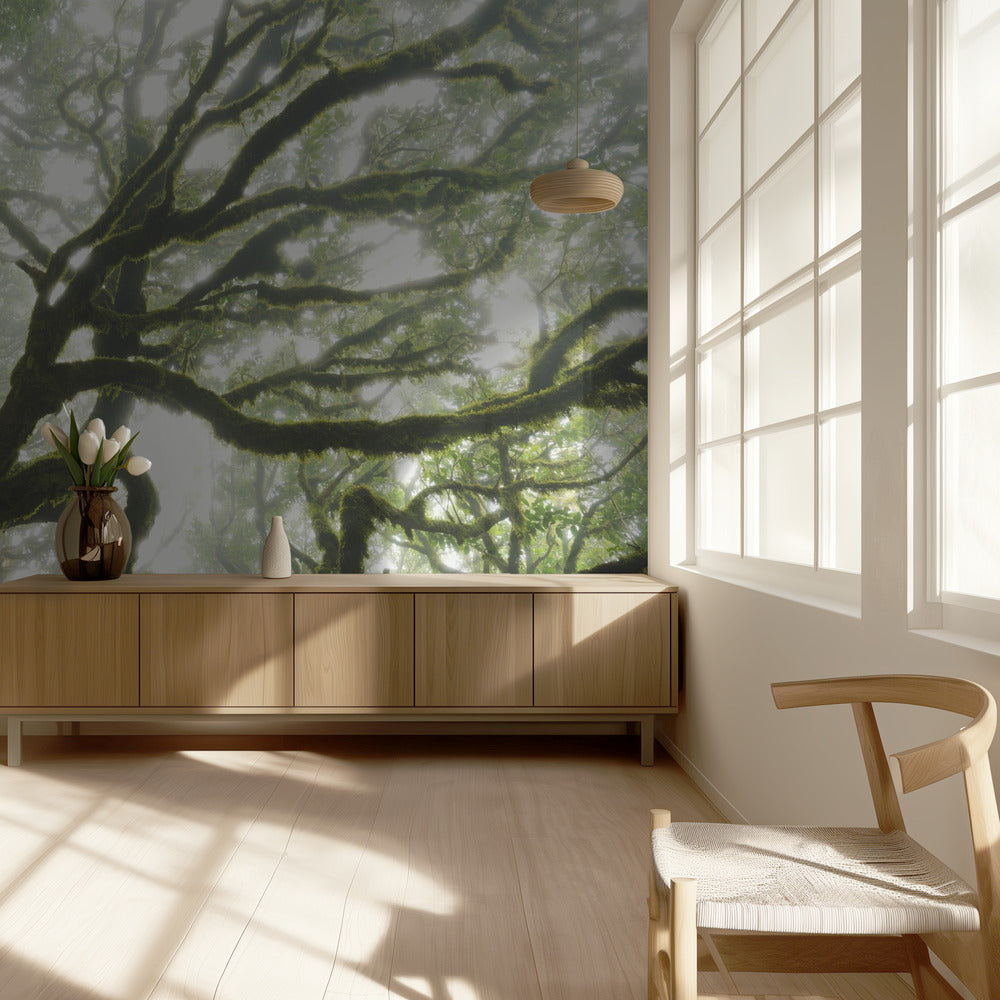 Magic Moment | Wallpaper