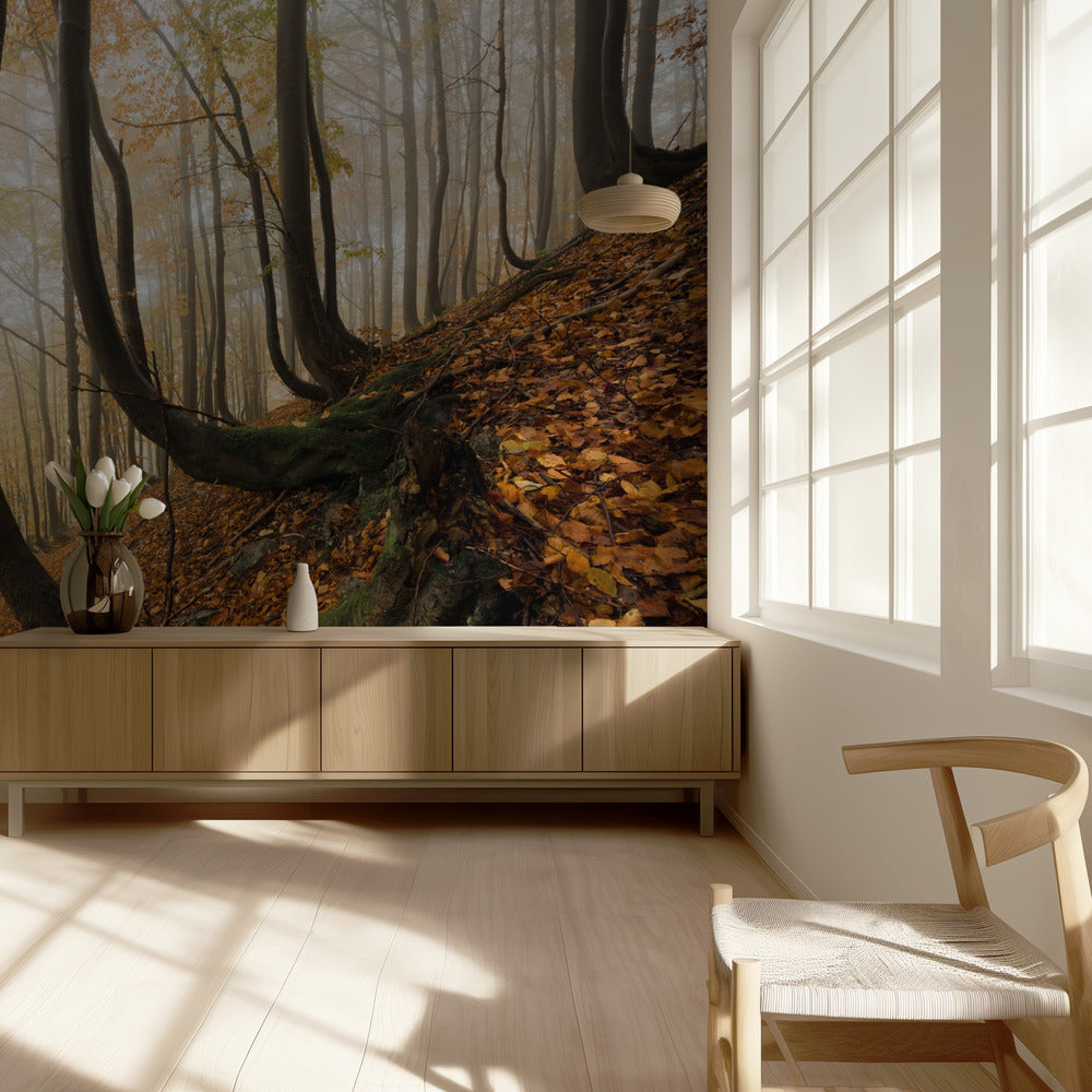 Mystic Autumn Forest | Wallpaper