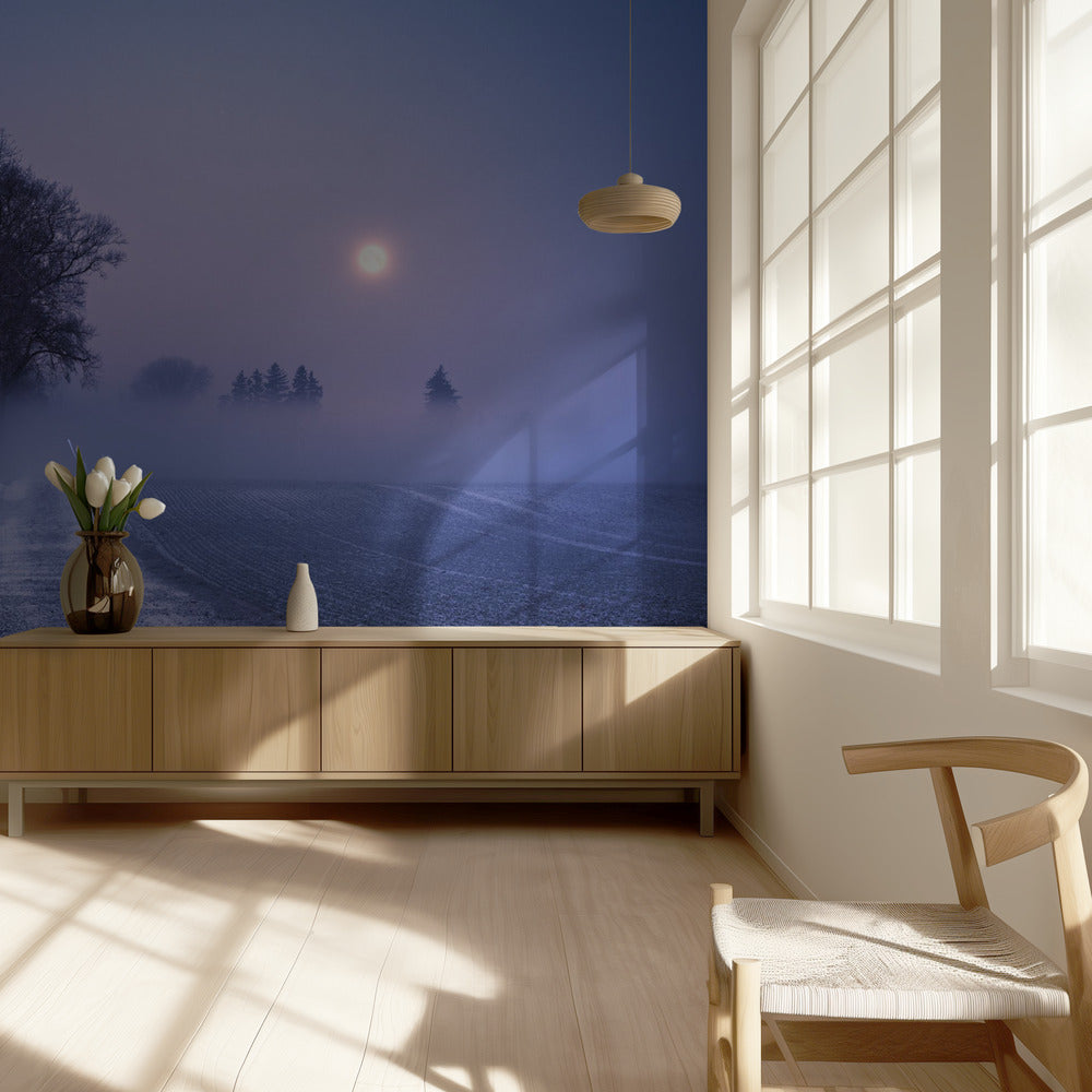 Moonlit Path | Wallpaper