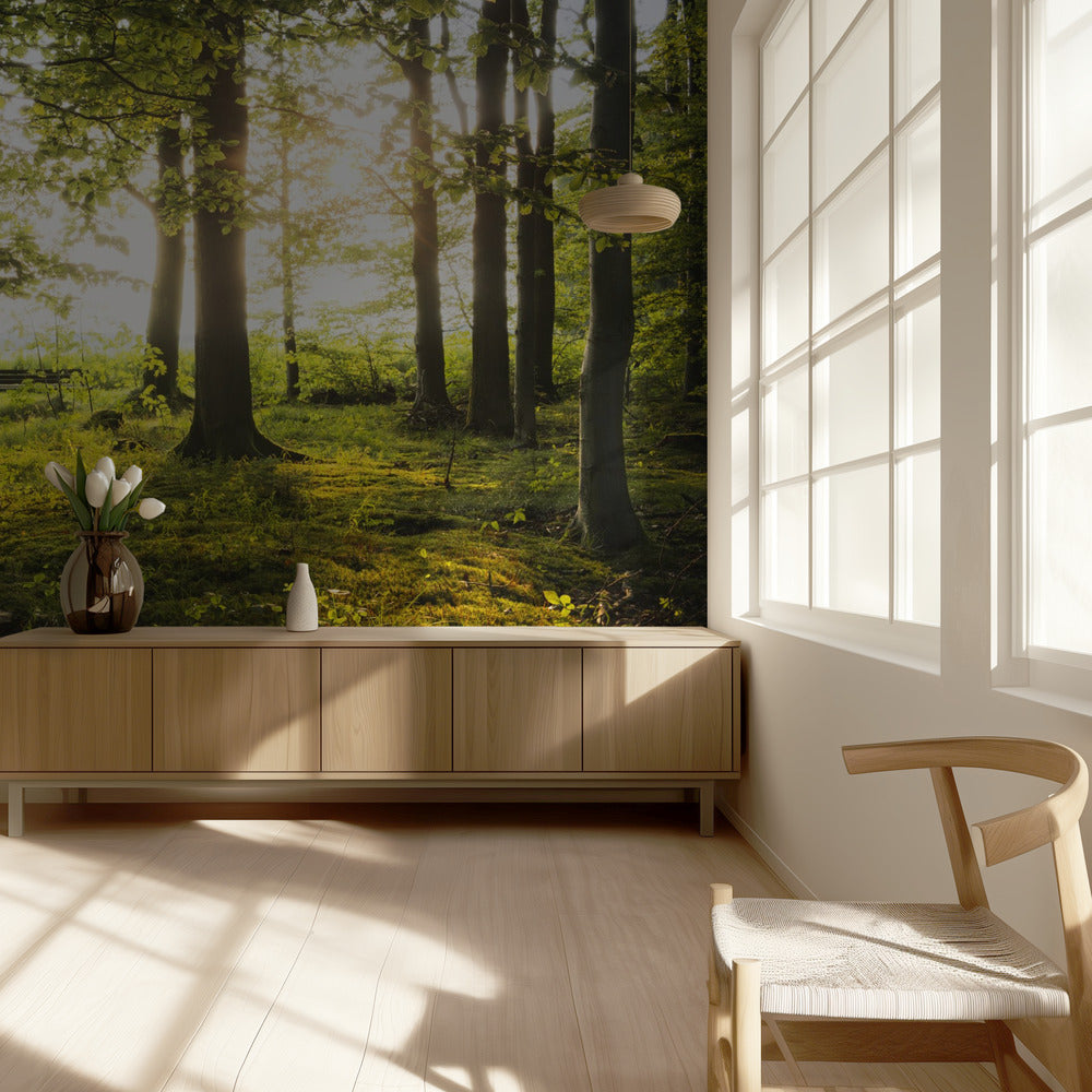 Summer in the Woods | Wallpaper