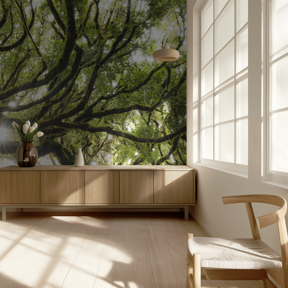 Green Star | Wallpaper