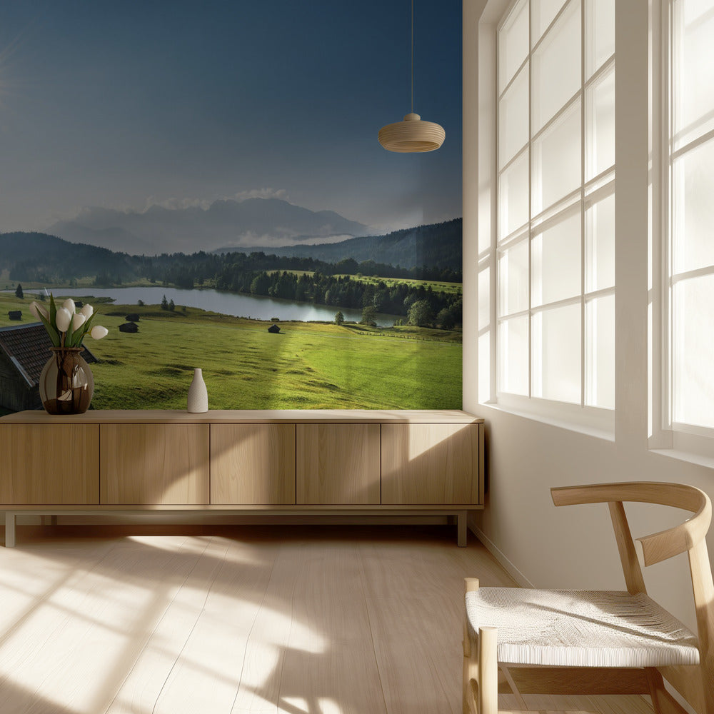 Summer Meadow | Wallpaper