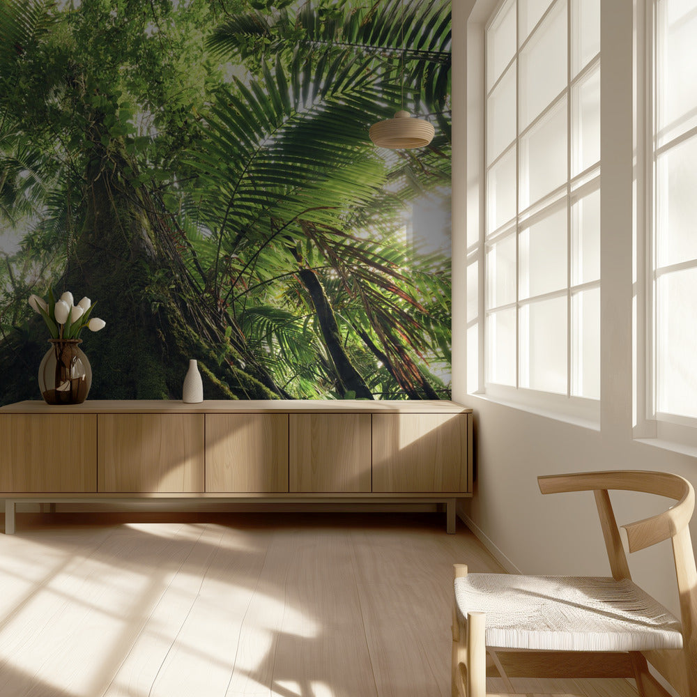 Walking in the Jungle | Wallpaper