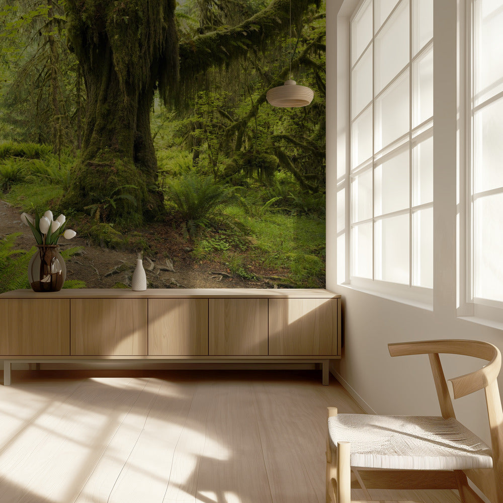 Hoh Rainforest | Wallpaper