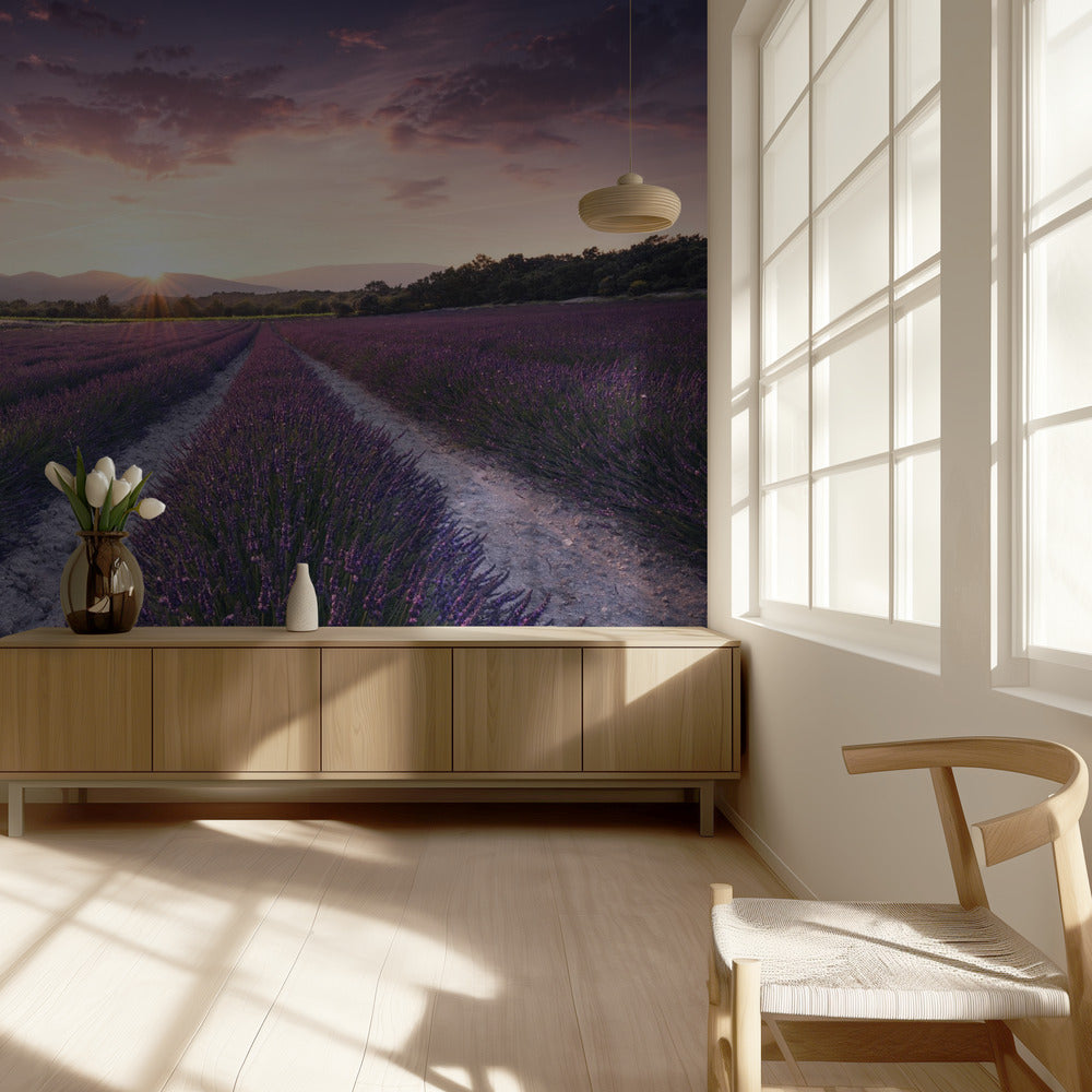 Purple Provence | Wallpaper