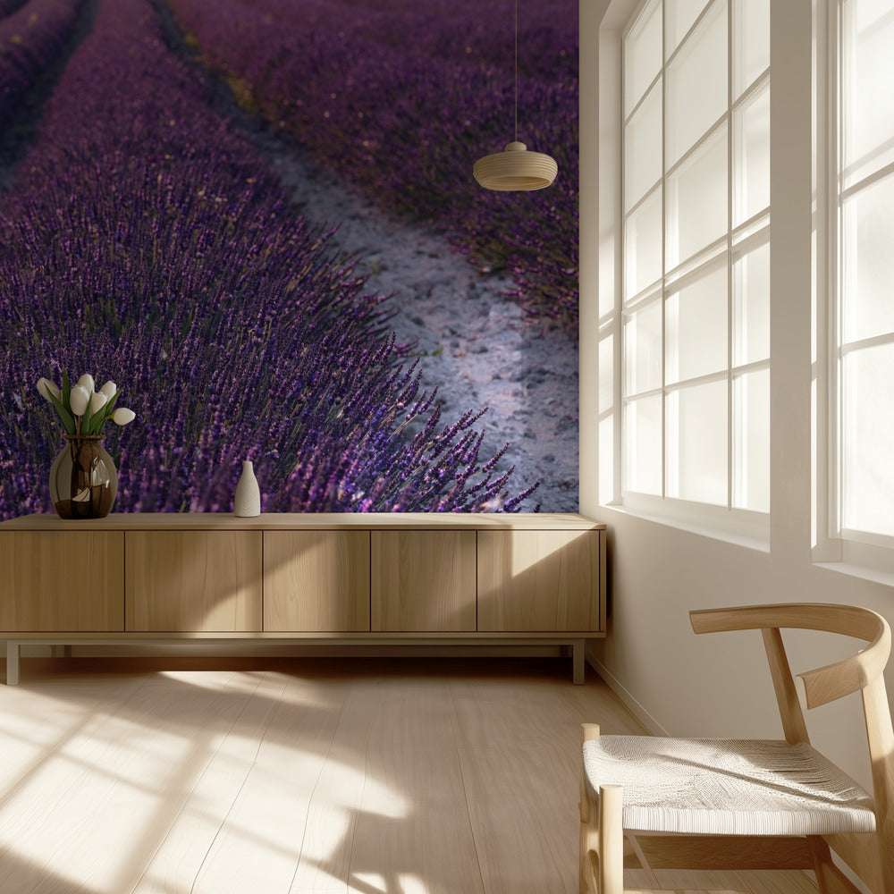 Lavender Detail | Wallpaper