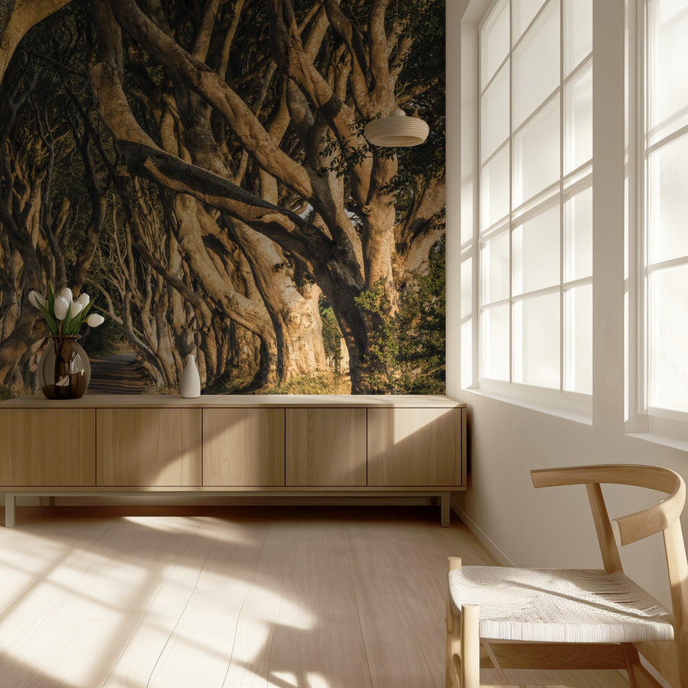 The Avenue | Wallpaper