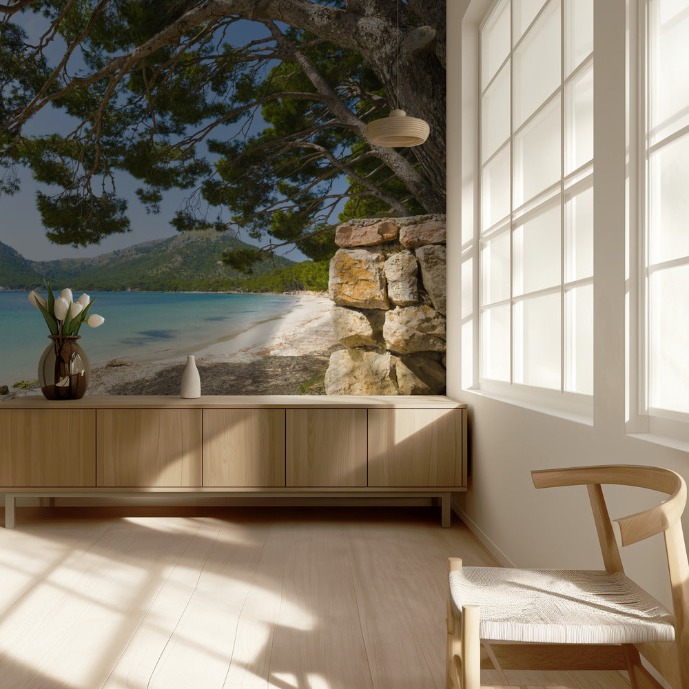 Beach Vacation | Wallpaper